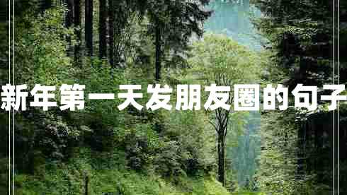 新年第一天發(fā)朋友圈的句子