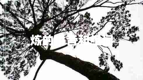 煉的拼音和組詞