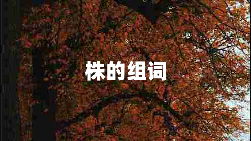 株的組詞