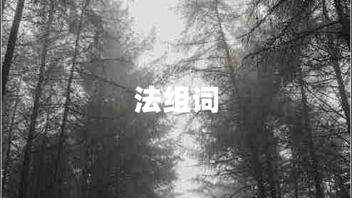 法組詞 法組詞