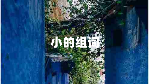 小的組詞 小的組詞
