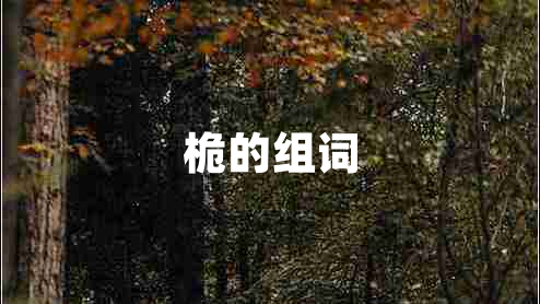 桅的組詞