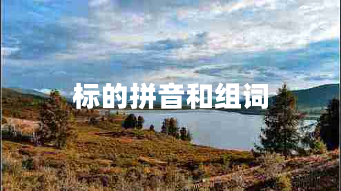 標(biāo)的拼音和組詞
