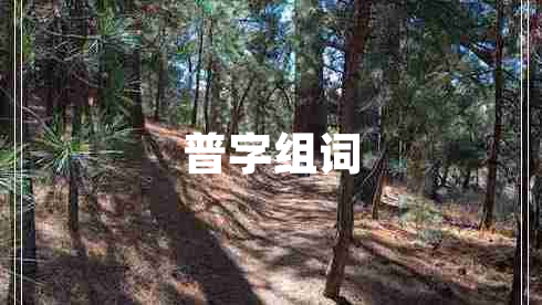 普字組詞