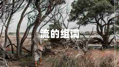 流的組詞 流的組詞