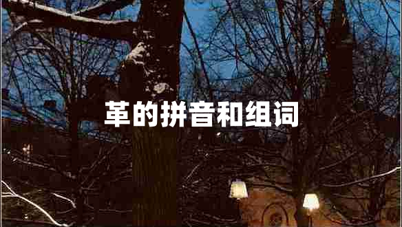 革的拼音和組詞