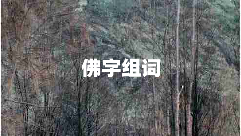 佛字組詞