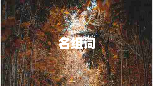名組詞