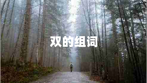 雙的組詞 雙的組詞