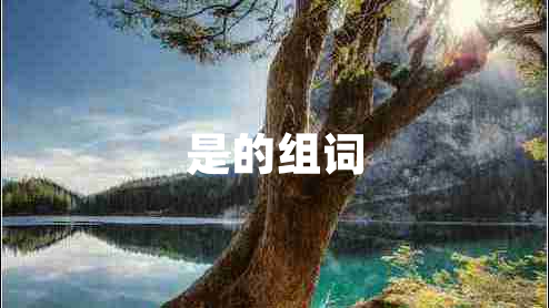 是的組詞