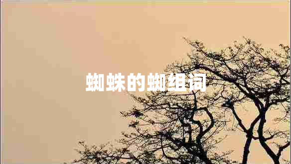蜘蛛的蜘組詞