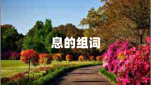 息的組詞 息的組詞