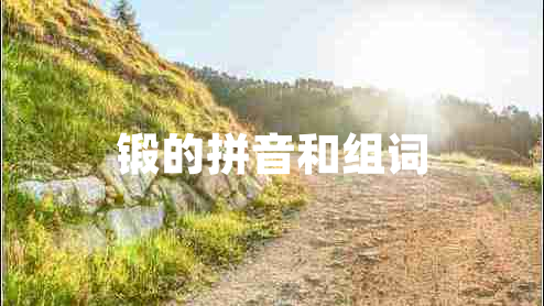 鍛的拼音和組詞