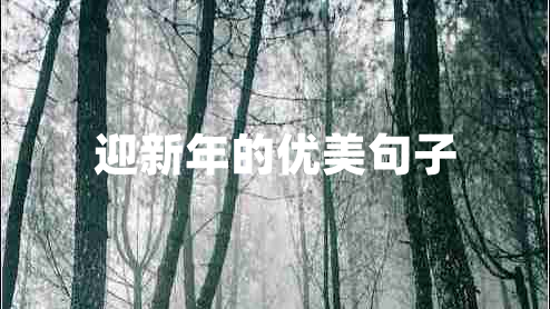迎新年的優(yōu)美句子