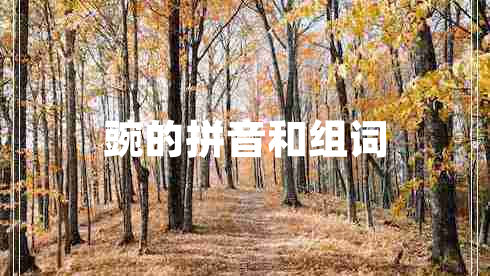 豌的拼音和組詞