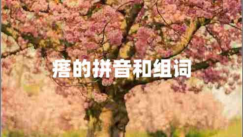 瘩的拼音和組詞