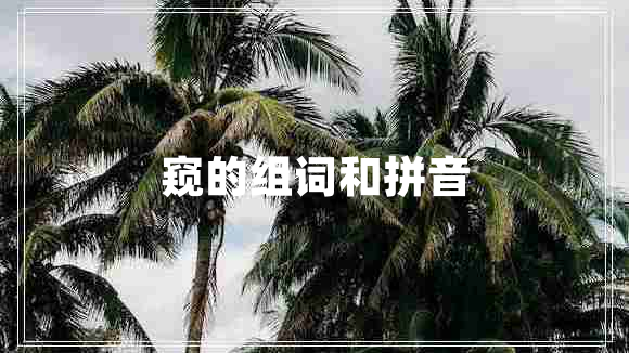 窺的組詞和拼音