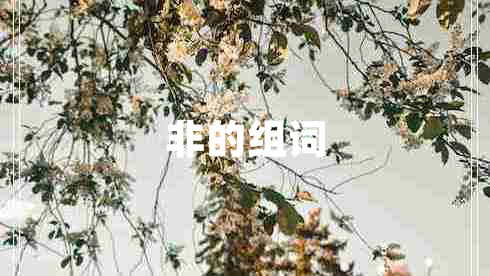 非的組詞 非的組詞