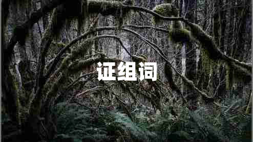 證組詞 證組詞