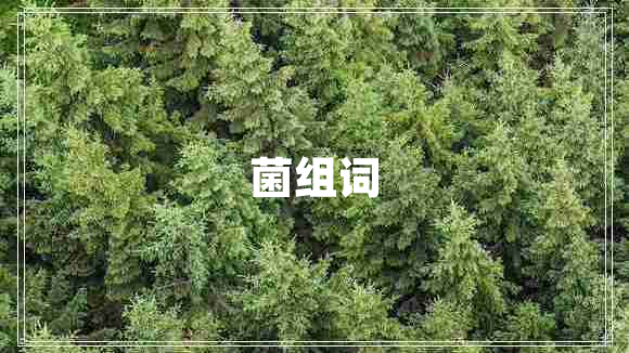 菌組詞 菌組詞