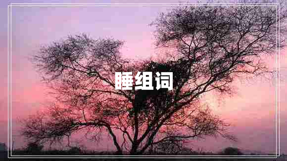 睡組詞
