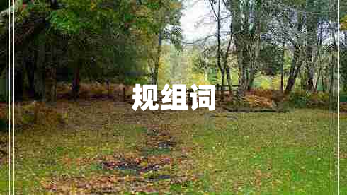 規(guī)組詞