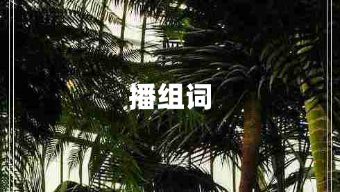 播組詞