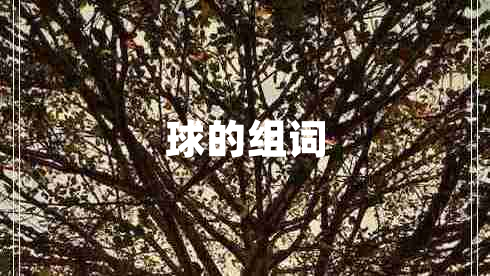 球的組詞
