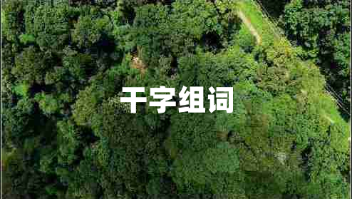 干字組詞 干字組詞