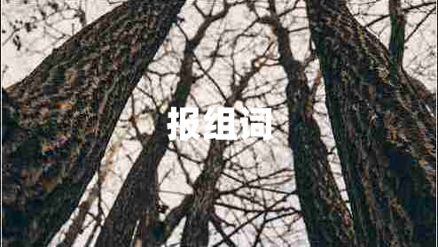 報(bào)組詞 報(bào)組詞