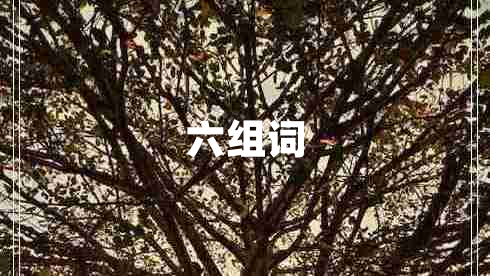 六組詞