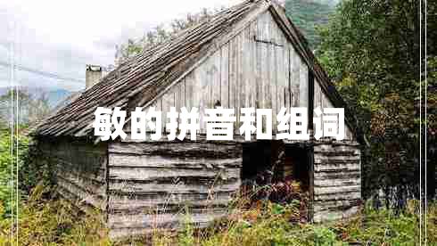 敏的拼音和組詞