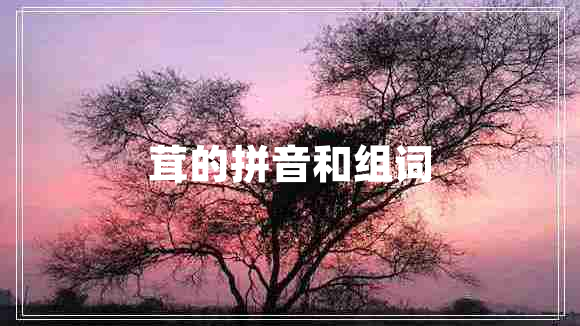 茸的拼音和組詞