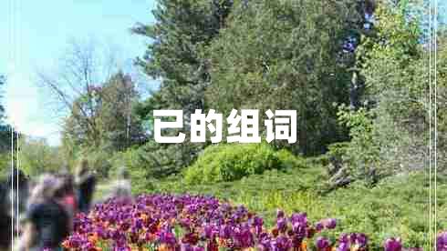 已的組詞 已的組詞