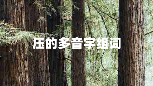 壓的多音字組詞