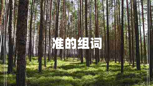 準(zhǔn)的組詞 準(zhǔn)的組詞