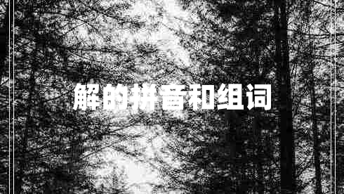 解的拼音和組詞