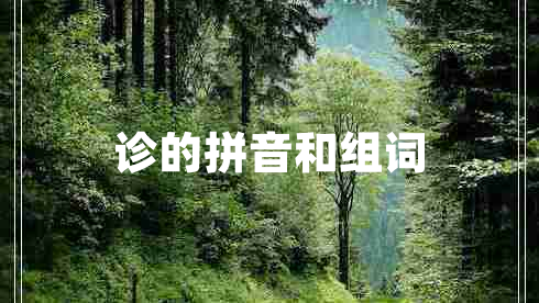 診的拼音和組詞