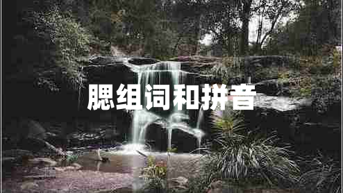 腮組詞和拼音