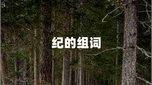 紀的組詞