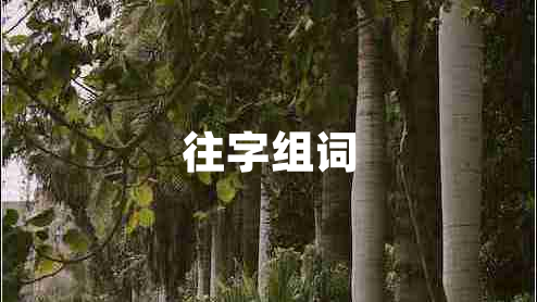 往字組詞 往字組詞