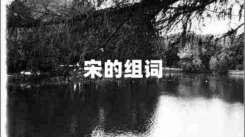 宋的組詞
