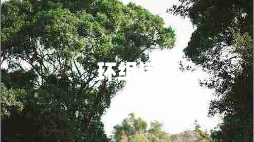 環(huán)組詞 環(huán)組詞