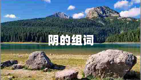陰的組詞 陰的組詞