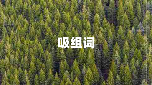 吸組詞