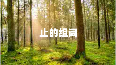 止的組詞 止的組詞