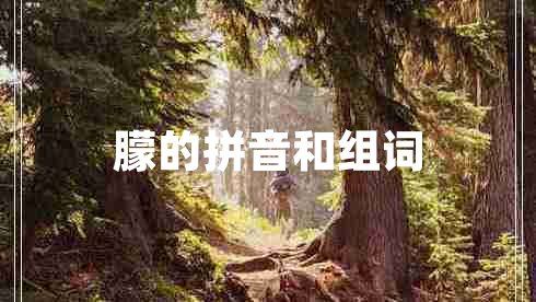 朦的拼音和組詞