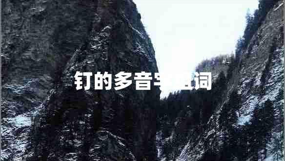 釘?shù)亩嘁糇纸M詞