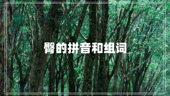 臀的拼音和組詞