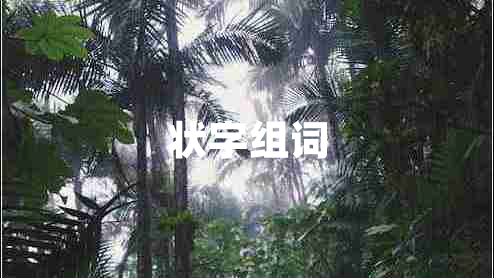 狀字組詞 狀字組詞